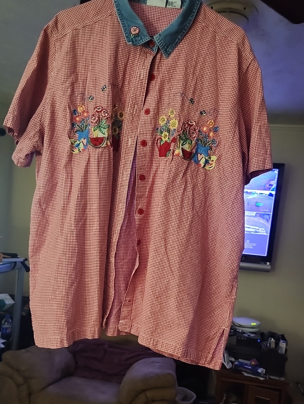 Red Gingham Short Sleeve Button-Up Shirt with Floral Embroidery